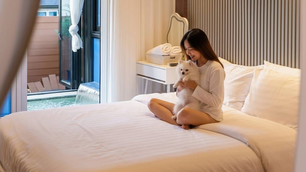 Taean Holy Dog Pool Villa Basic Room, 1 Bedroom (Holy B (Pool Villa/BBQ/Pet Park)) 3