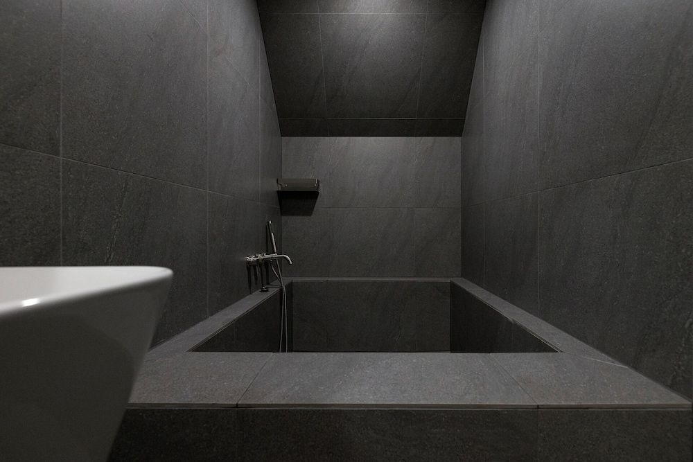 Stay Passport Airplane Guri Premium Economy Class Twin 9