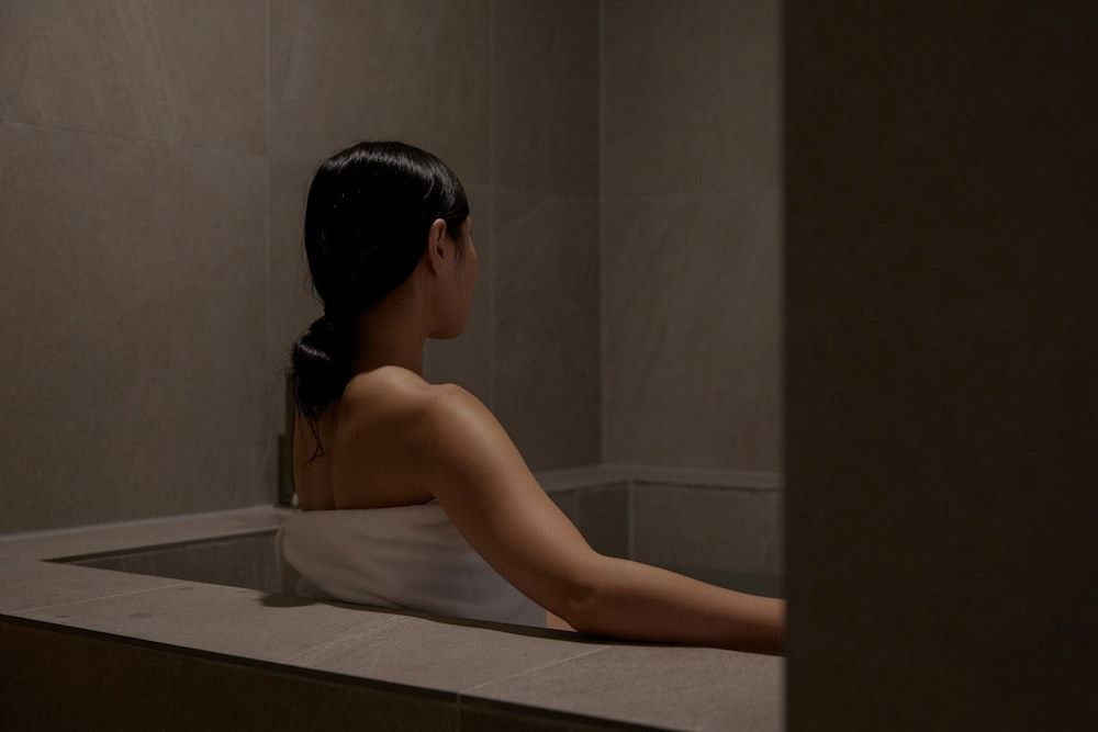 Stay Passport Airplane Guri Business class A 17