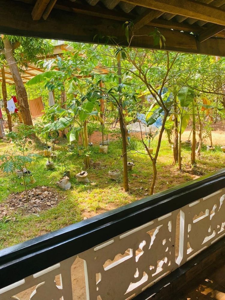 Elephant Safari Lodge Double Room, Garden View 6