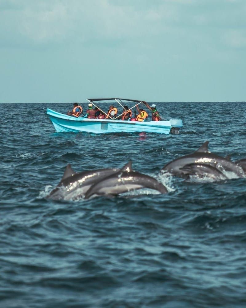 Roshanne Beach Resort Superior Quadruple Room, Garden View 7
