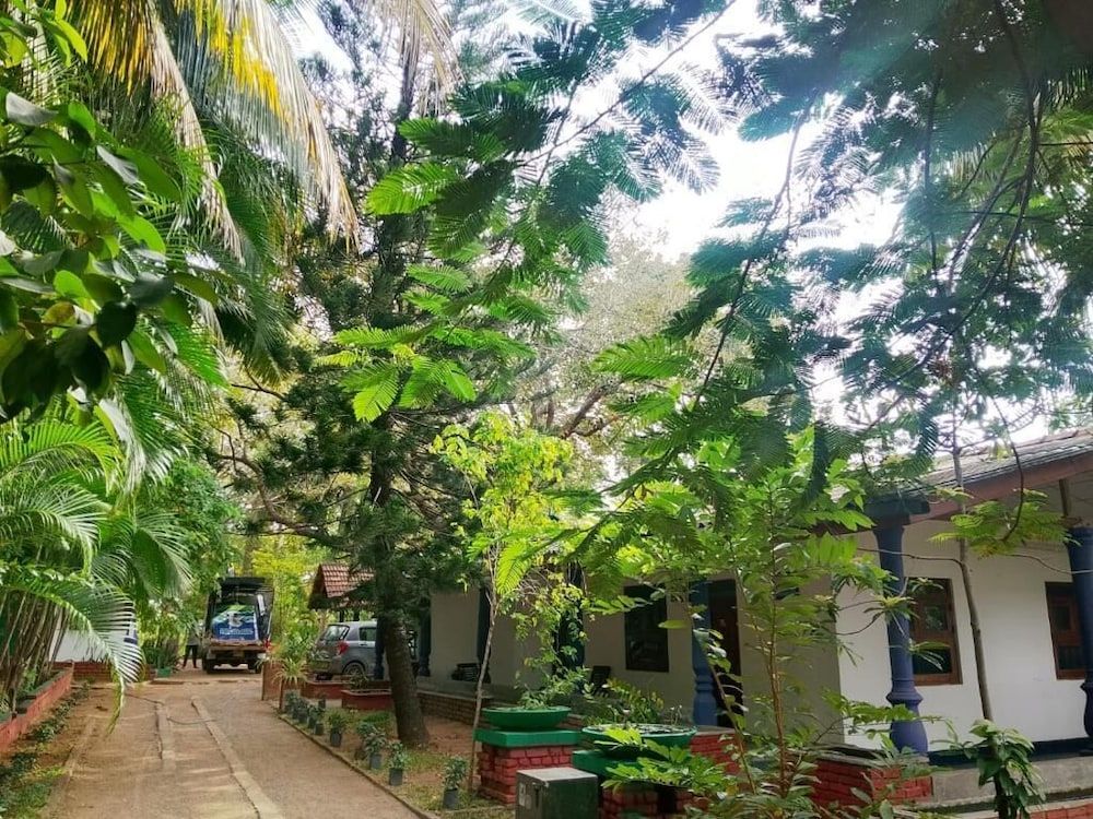 Nature Lodge Habarana Deluxe Single Room 3