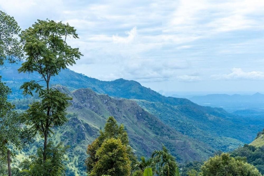 Ella Ostella Family Room, Balcony, Mountain View 15