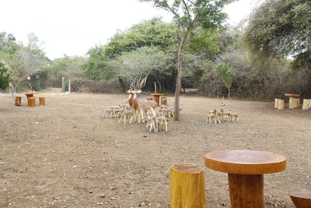 Thumbaya Resort Yala Family Room, Garden View 5