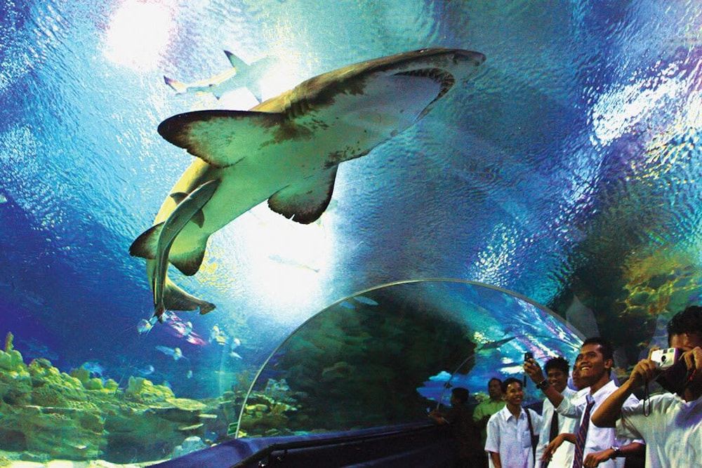 A Comfy & Stylish Studio in Empire Damansara Apartment (0 Bedroom) 19