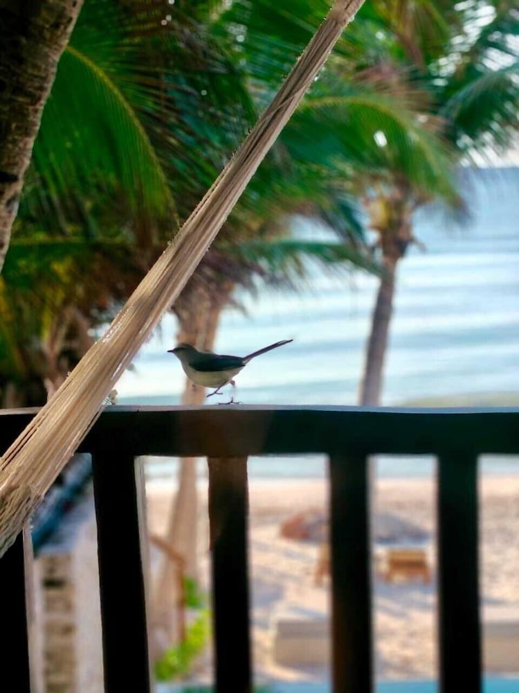 Azucar Hotel Tulum Suite Cielo, Private Jacuzzi, Rooftop, Frontal Ocean View & Infinity Poo 9