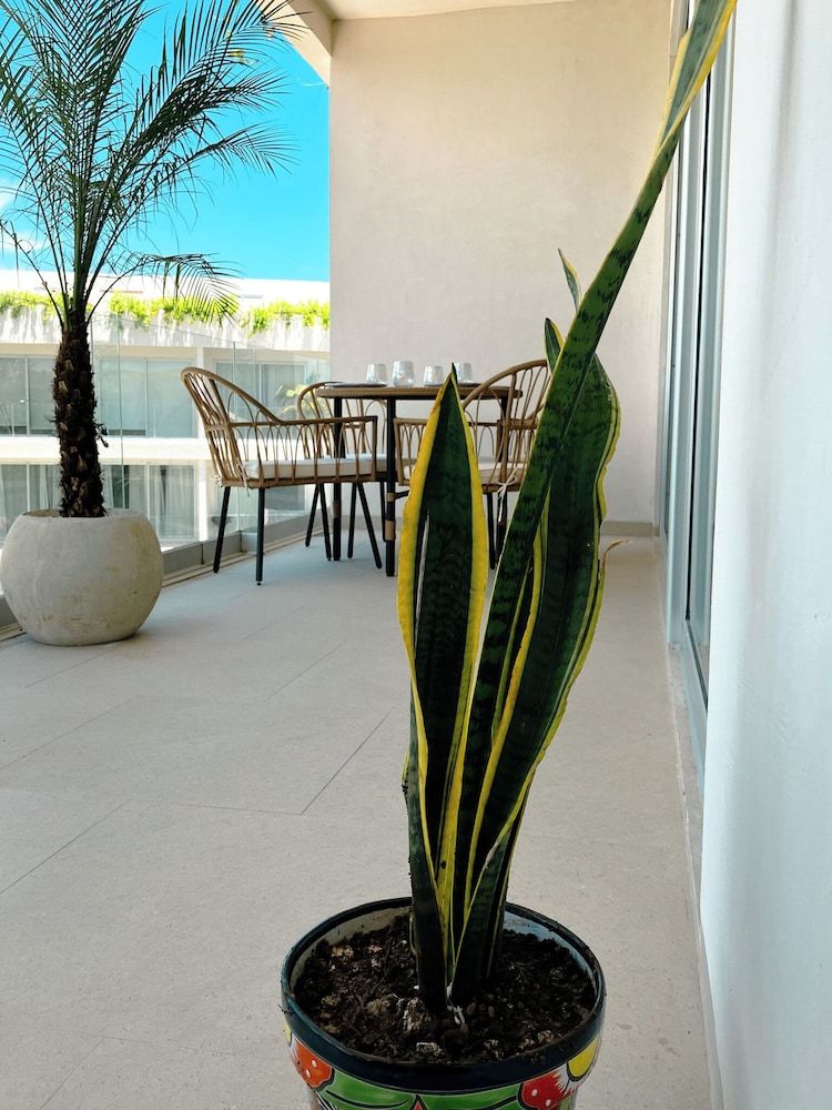 Stylish Playacar Condos w Balcony & Pool Exclusive Apartment, Garden View 22