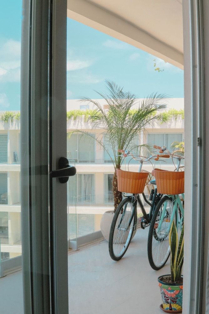 Stylish Playacar Condos w Balcony & Pool Exclusive Apartment, Garden View 23