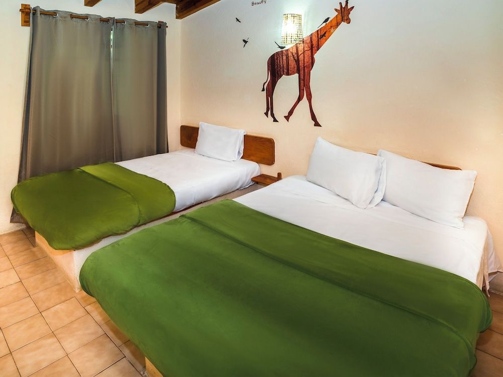 Hotel del valle Triple Room 3