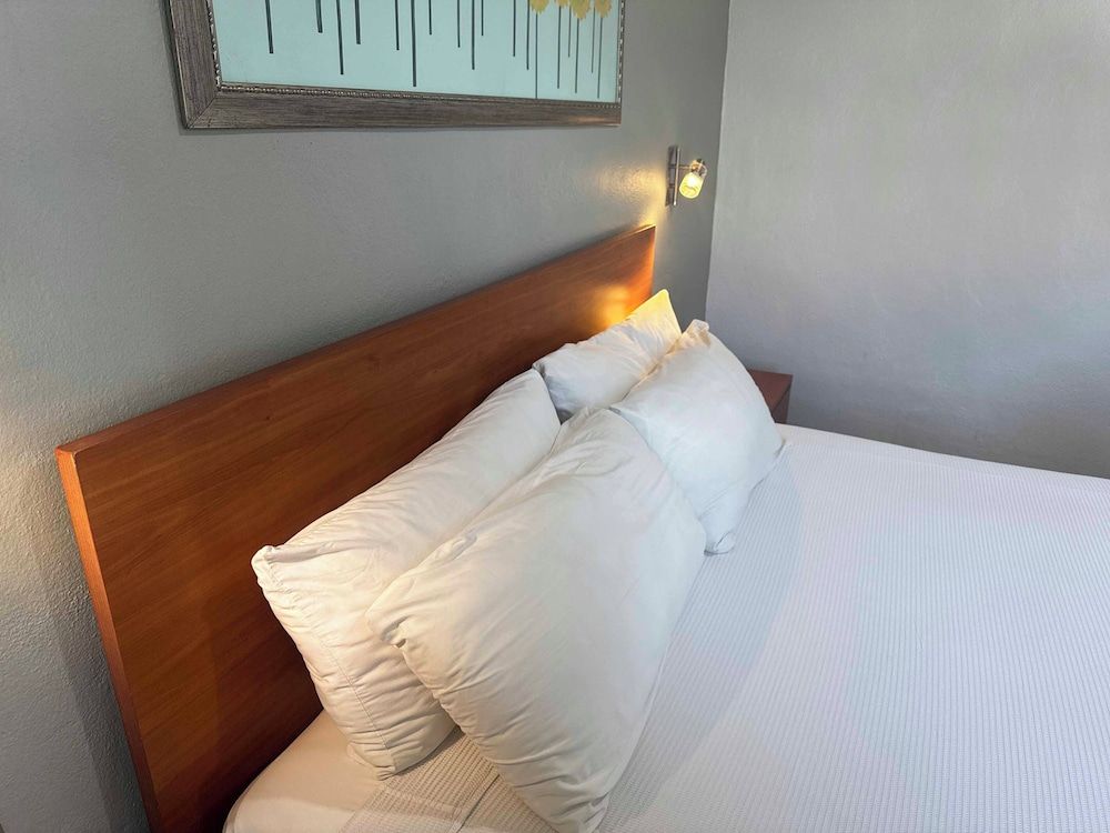 The Magic Hotel Superior Room 6