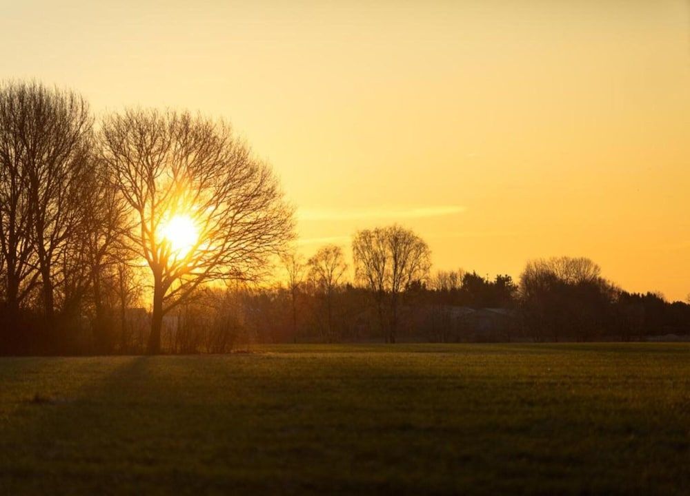 Peaceful Stay Near Trails Chalet 30