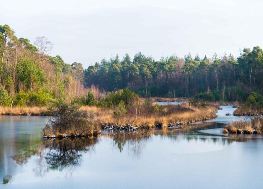 Peaceful Stay Near Trails Chalet 31