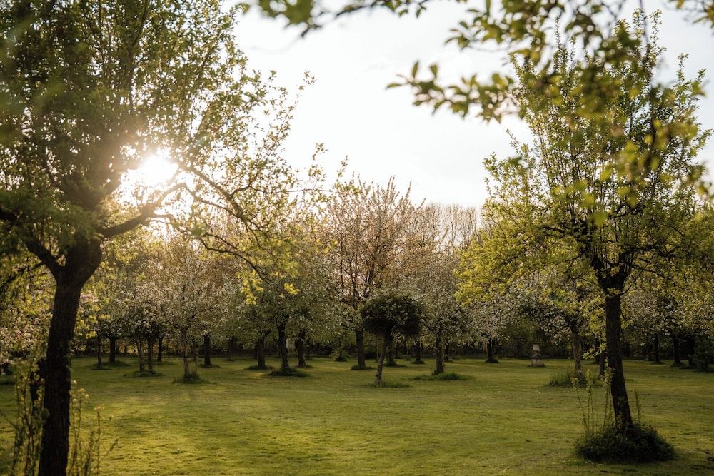 Corneli Residences Residentie met één slaapkamer 5