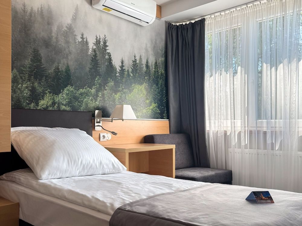Hotel Malinowski Leśny Standard Single Room, Park View