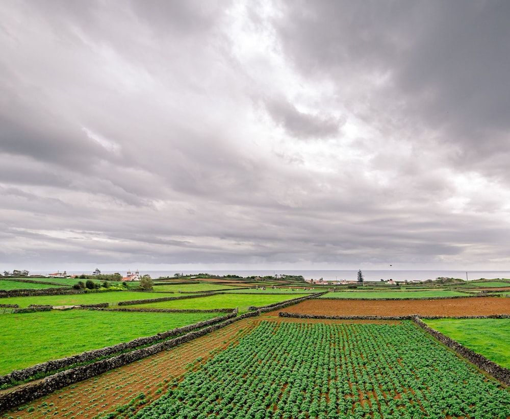 Casa dos Cal os Casa Anexos House 33