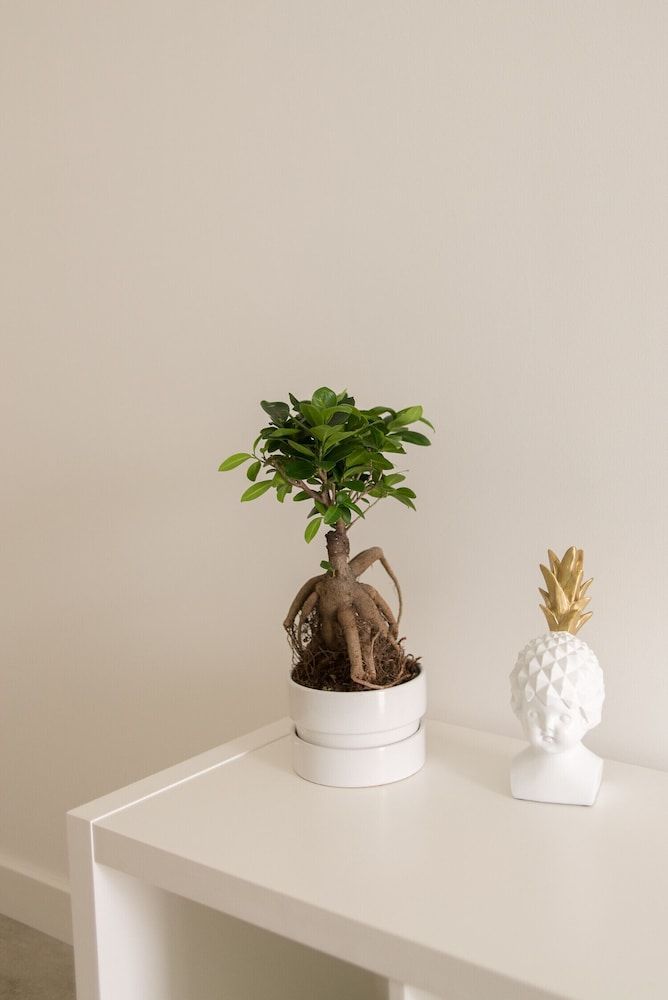 ST Apart 12 in Peniche Apartment 13