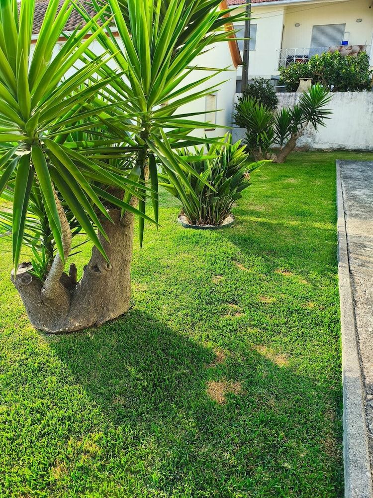 Esposende Charming Villa With Garden Villa 19