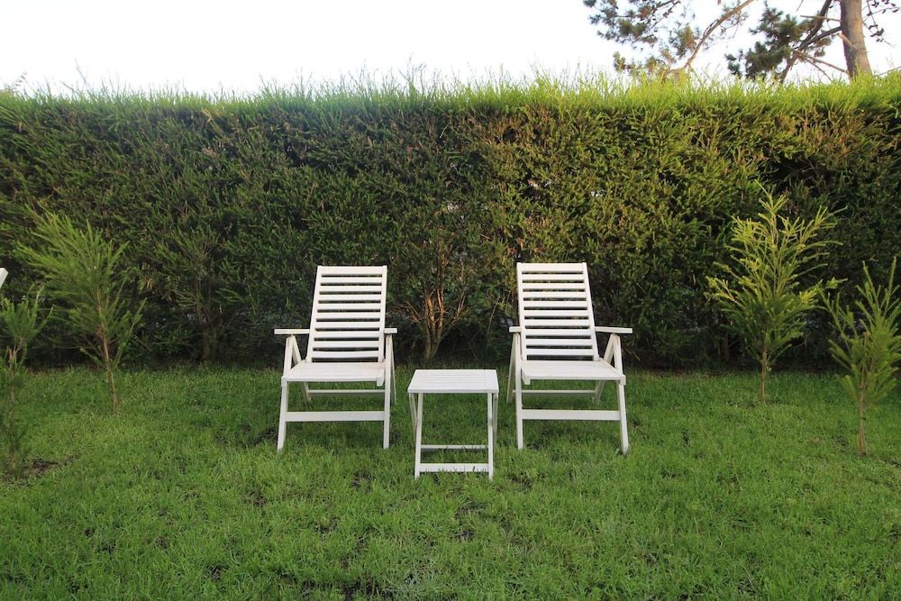 Quinta do Canal Double Room, Garden View 5