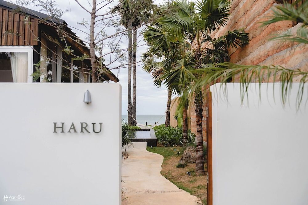 Furusato Shack Haru 3