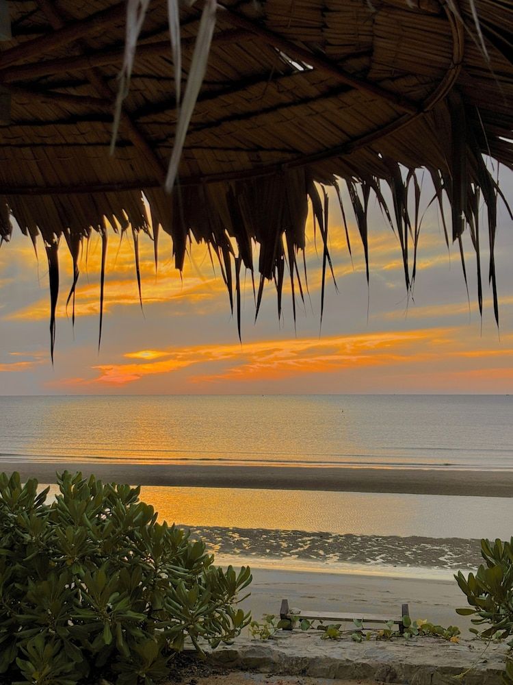 DEMI III Demi the third Sun 28