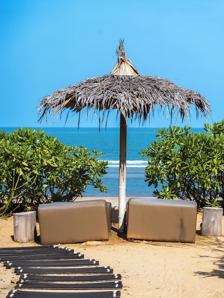 DEMI III Demi the third Sun 12