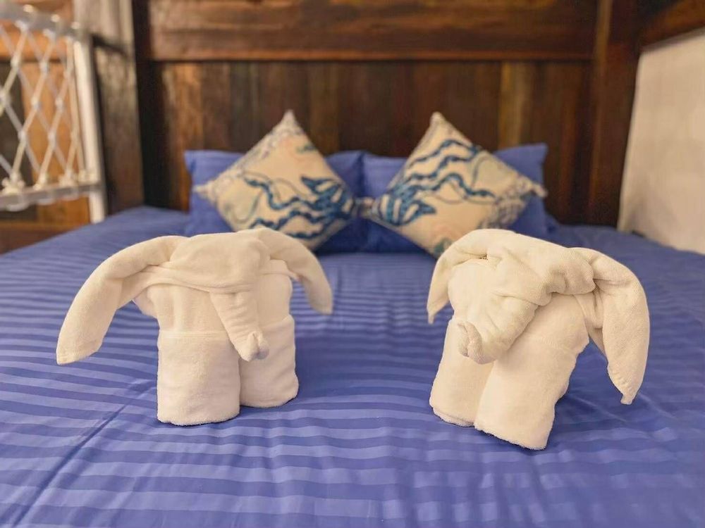 Buffalo Island Resort & Adventure Park Junior Suite, Balcony, Beach View