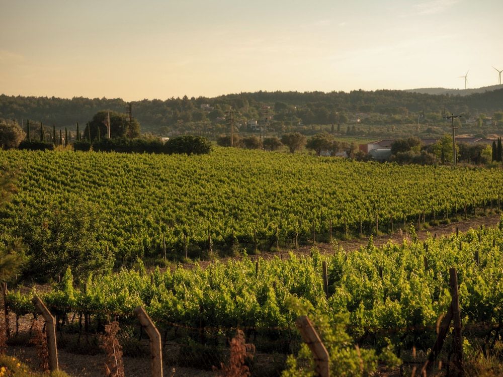 KeyUrla Vineyard Villa 2