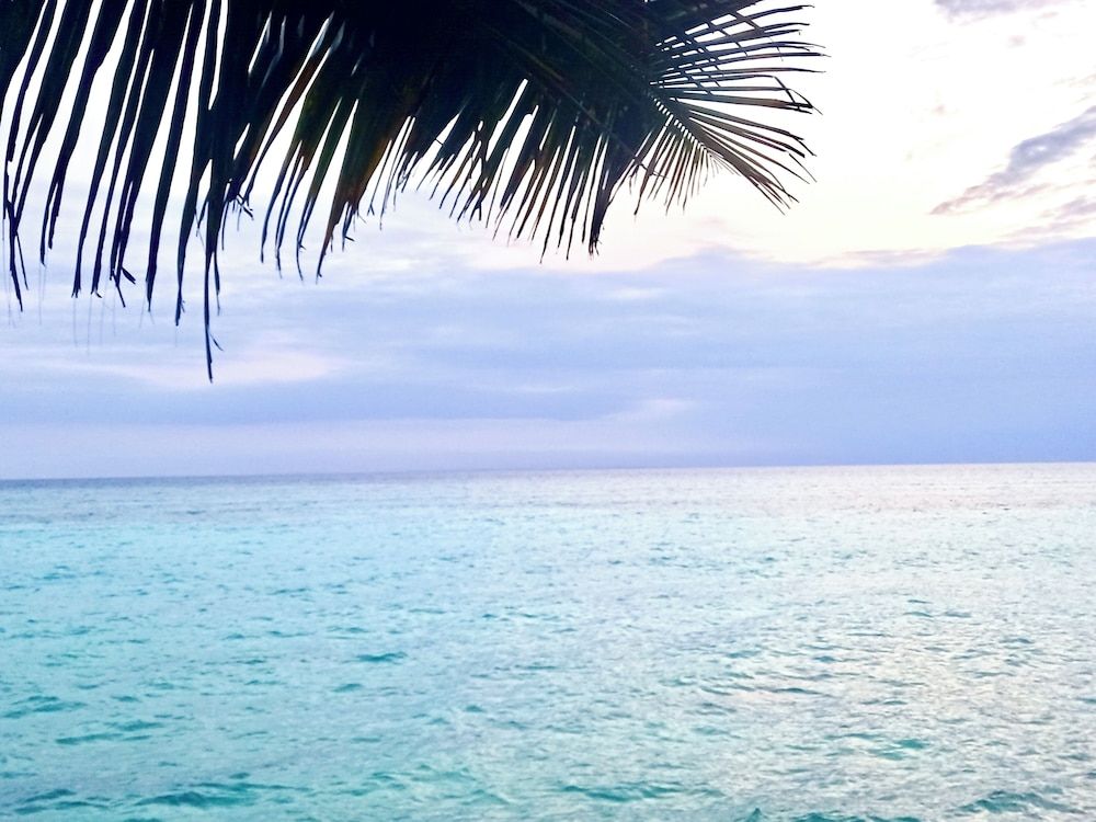 Miska Zanzibar Basic Double Room 5