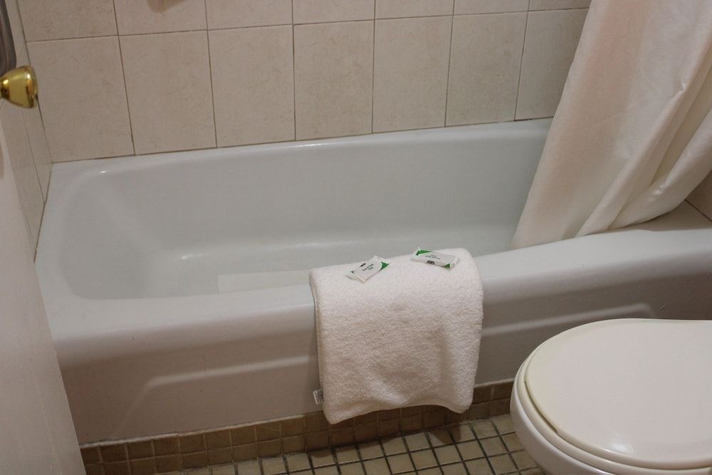 Executive Economy Lodge Single Room, 1 King Bed, Non Smoking 15