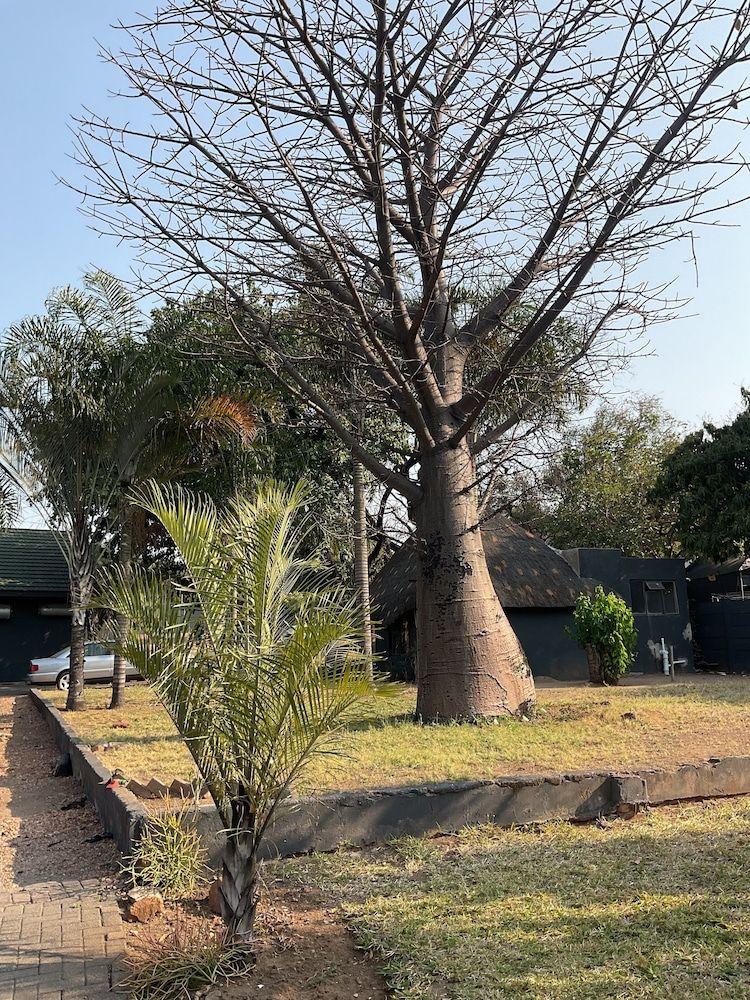 Bothabelo Bed and Breakfast Basic Double Room, Garden View 4