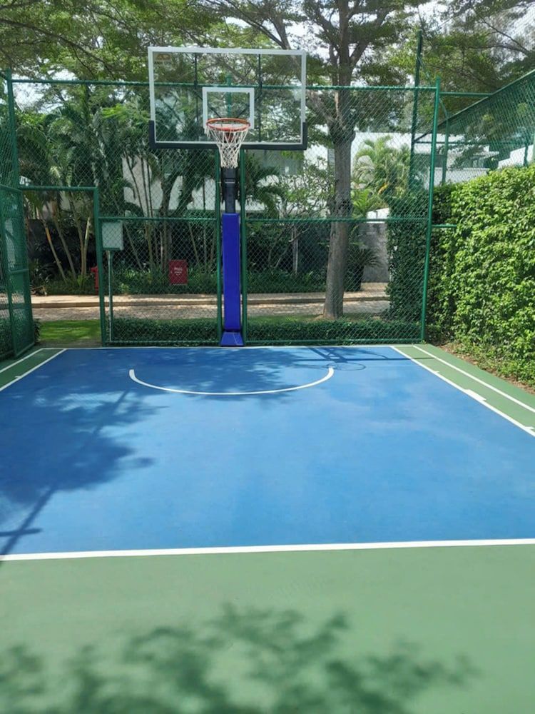 Basketball Court