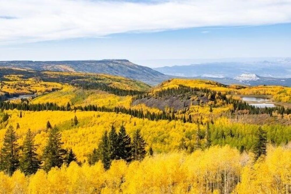 My Home Is Your Home 2 Bedroom Home House, 2 Bedrooms 26