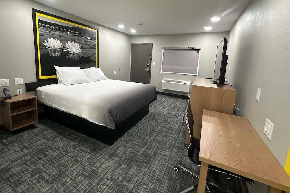 Room, 1 King Bed, Non Smoking