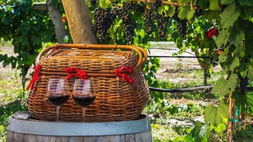 Bark And Bike Abode 3 Bedroom Home House, 3 Bedrooms 26