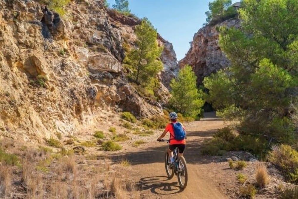 Bark And Bike Abode 3 Bedroom Home House, 3 Bedrooms 18