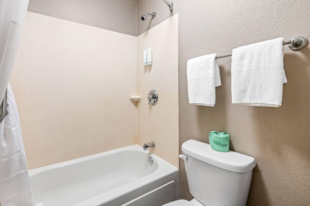 Econo Lodge Hickory Standard Room, 1 King Bed, Non Smoking 8