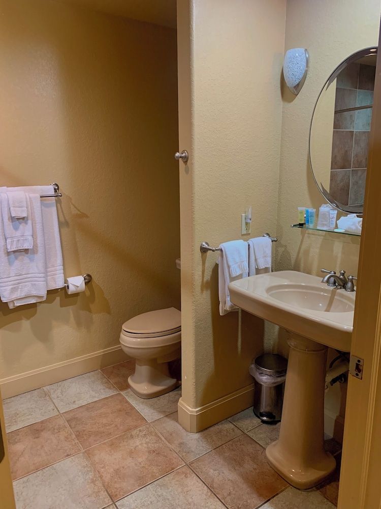 The Canebrake Basic Double or Twin Room 2