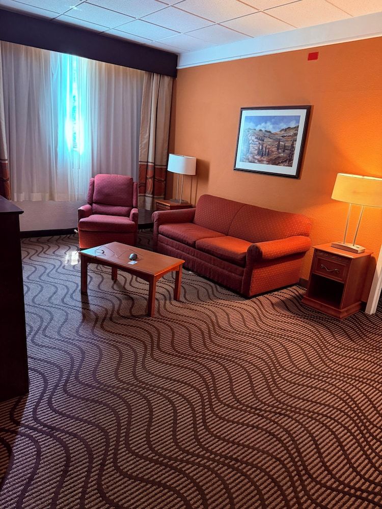 Suite, 1 King Bed, Roll-in Shower, Non Smoking