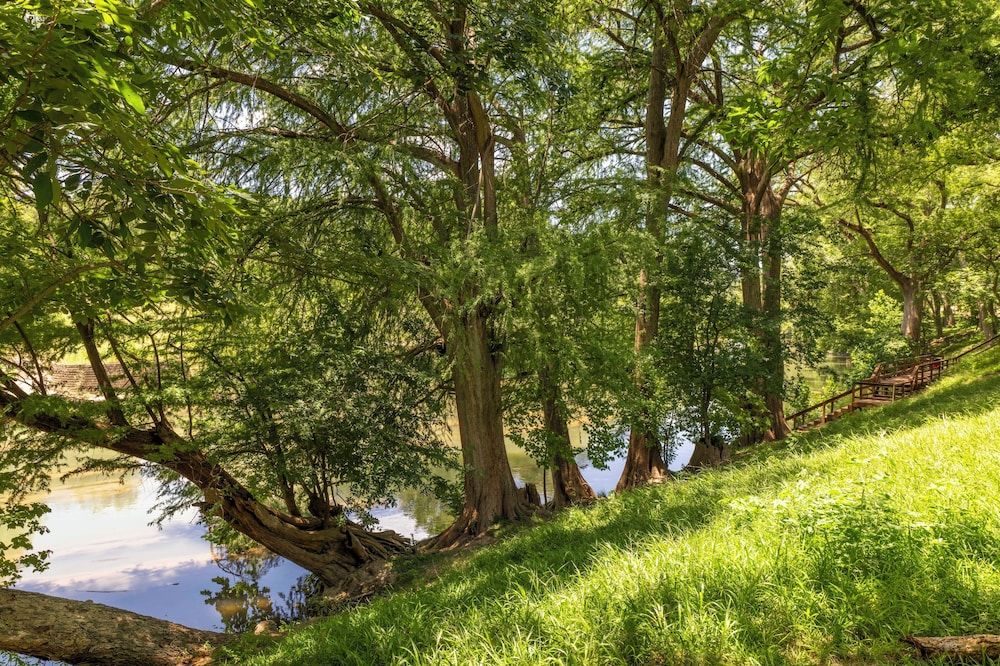 Tipis on the Guadalupe Romantic Cabin, Private Bathroom 17