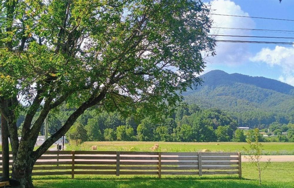 Wild Mountain Lodge Deluxe Suite, Mountain View 7