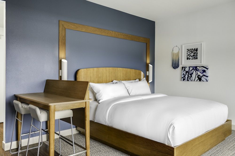 Element Branson Studio, 1 King Bed with Sofa bed (Hearing Accessible)