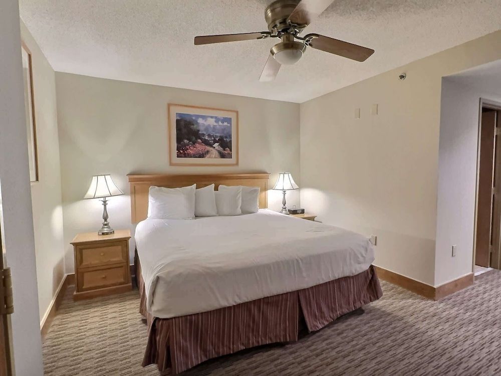 Junior Suite, 1 King Bed with Sofa bed No Resort Fee