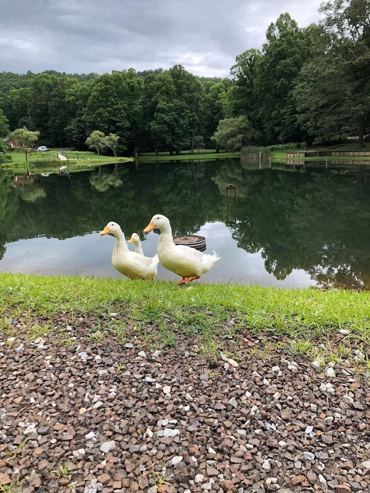 Willow Falls CREEKSIDE CABIN/Private Hot Tub/Lake 28