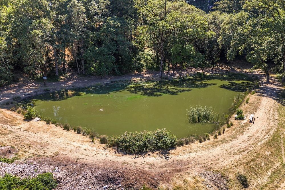 Water-based activities