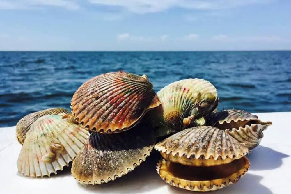 Water-based activities