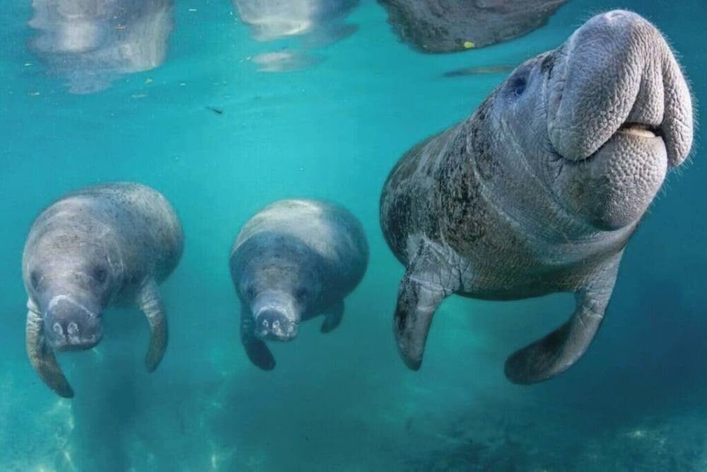 Water-based activities