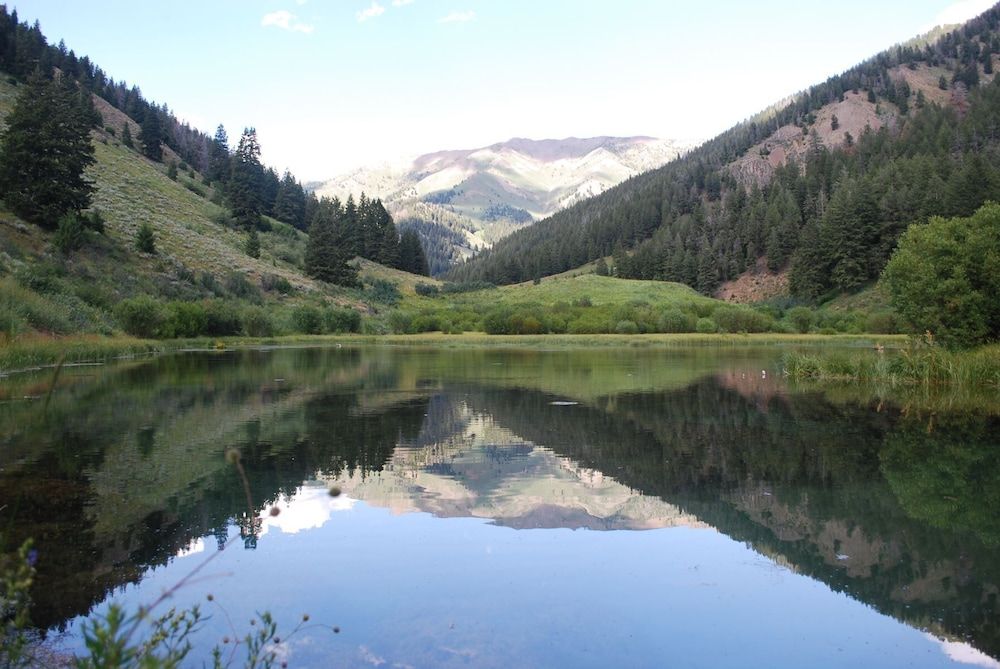 Board's Sunset Ranch - Sawtooth National Forest Cabin, Multiple Beds, Patio, Mountain View (Board's Sunset Ranch) 20