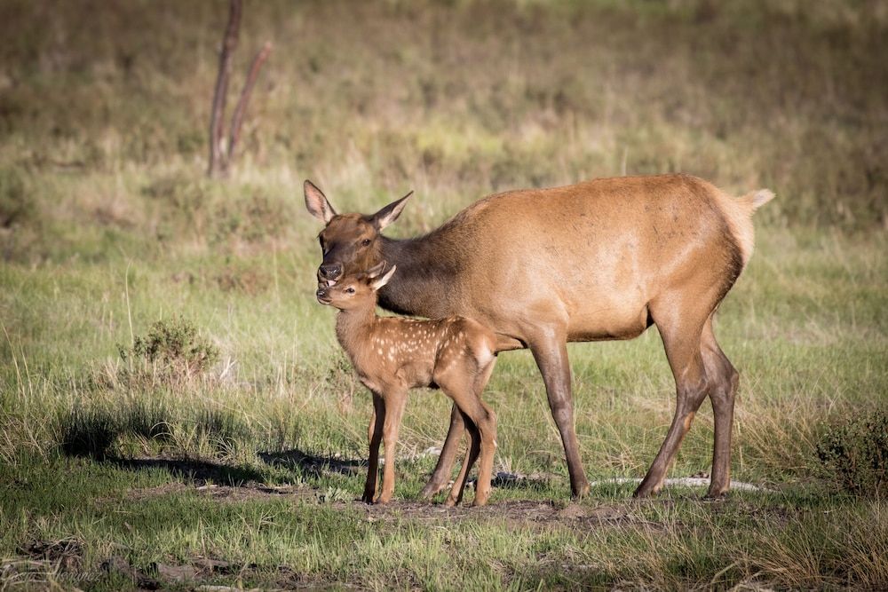 Mount Chiquita 10a 2 Bedroom Condo by RedAwning Condo, 2 Bedrooms 24
