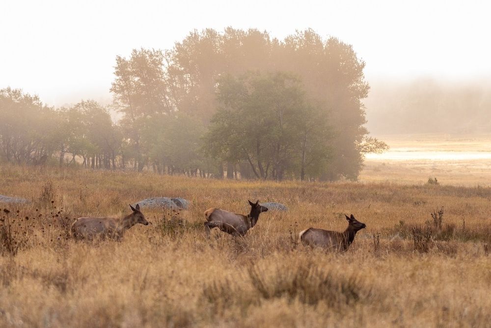 Mount Cairns 16a 2 Bedroom Condo by RedAwning Condo, 2 Bedrooms 24