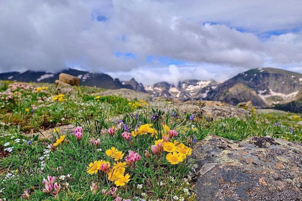 Mount Chapin S4 2 Bedroom Condo by RedAwning Condo, 3 Bedrooms 29